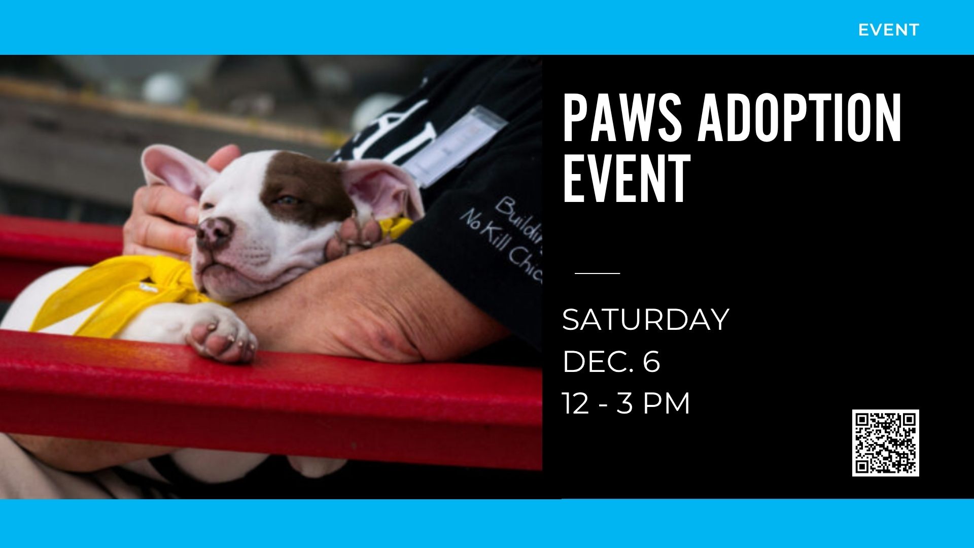 Paws Chicago Adoption Event at Gorton Center
